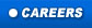 Careers